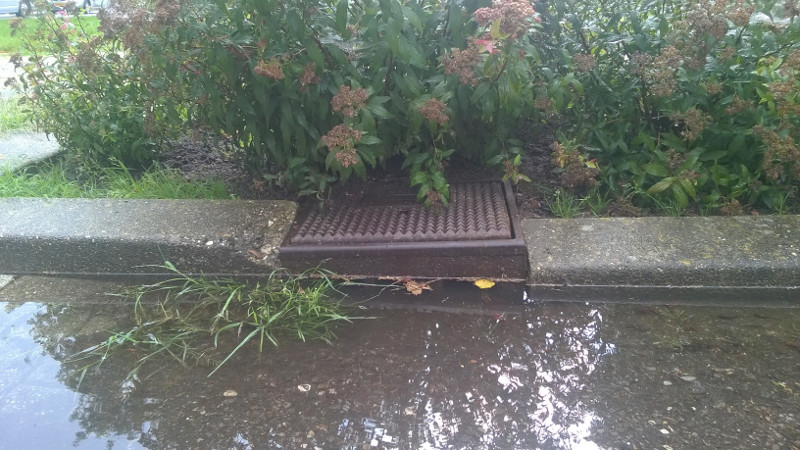 afbeelding van een straatput die verstopt is