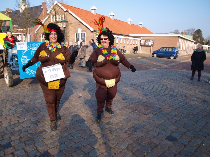 Carnavalsoptocht pannerden 2015