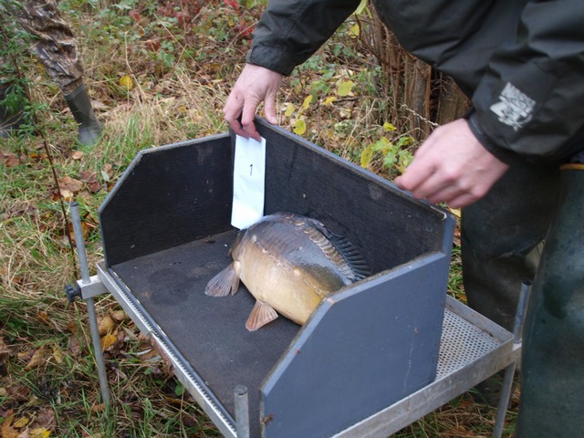 Karperproject Lobberden 020