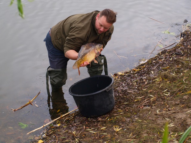 Karperproject Lobberden 028