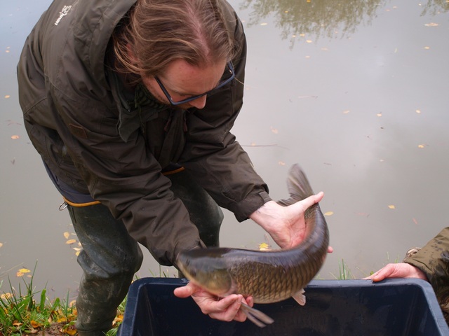 Karperproject Lobberden 063