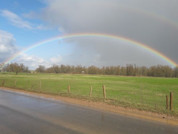 regenboog kijfwaard 011