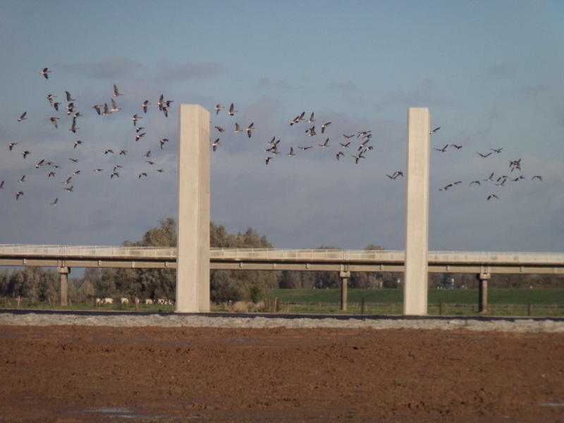 pannerden regelwerk