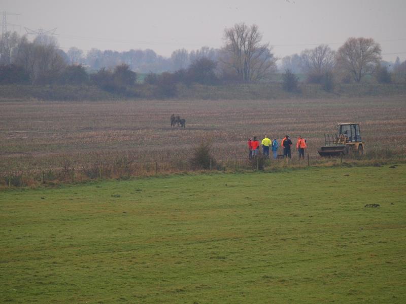 pannerden explosief 1