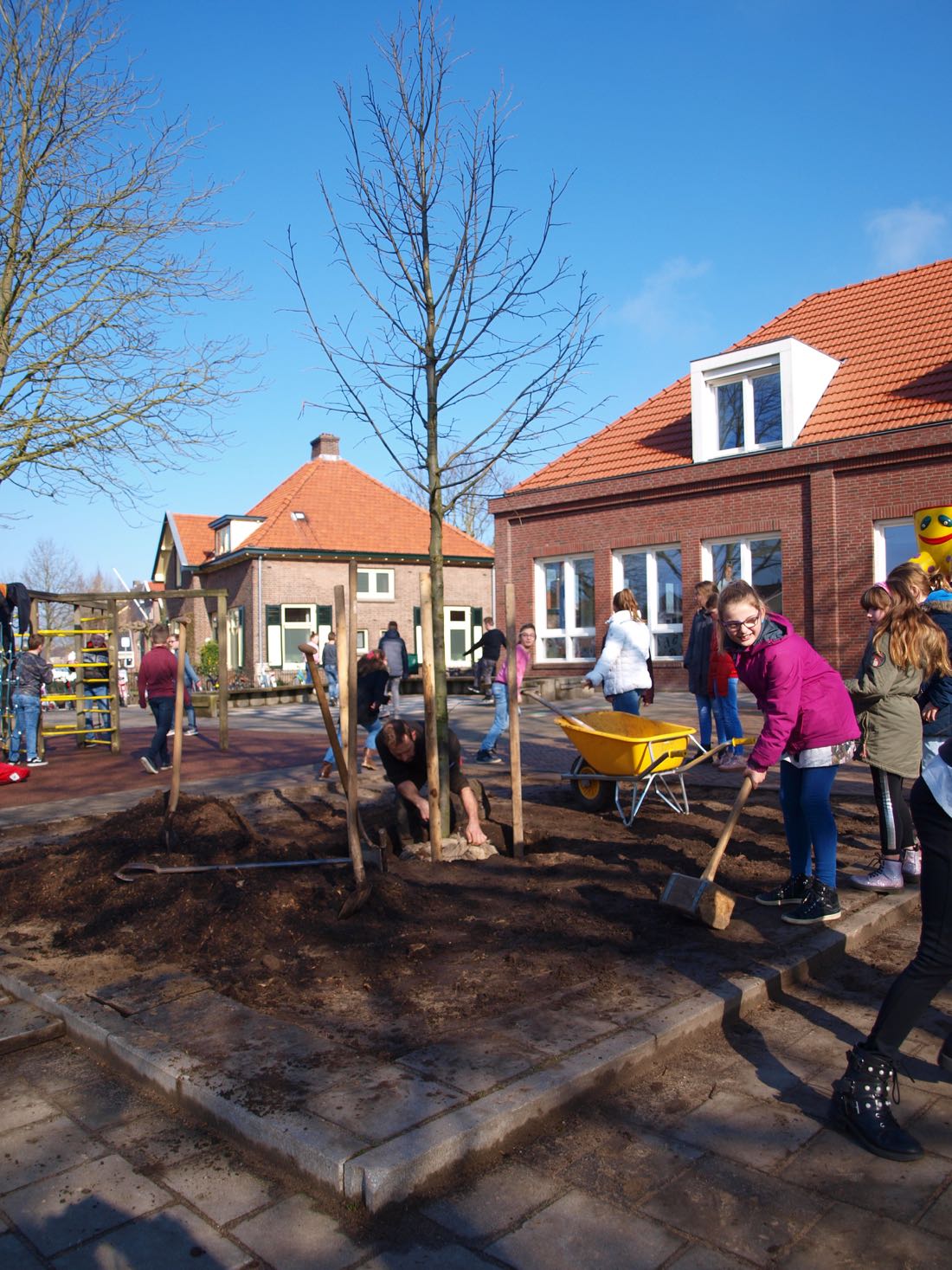 foto van 't scathe waar een zilverlinde wordt geplant