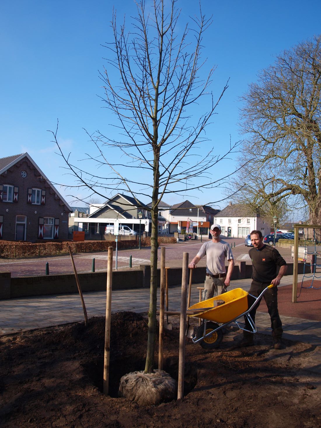 foto van 't scathe waar een zilverlinde wordt geplant