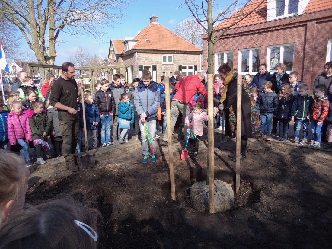 foto van 't scathe waar een zilverlinde wordt geplant